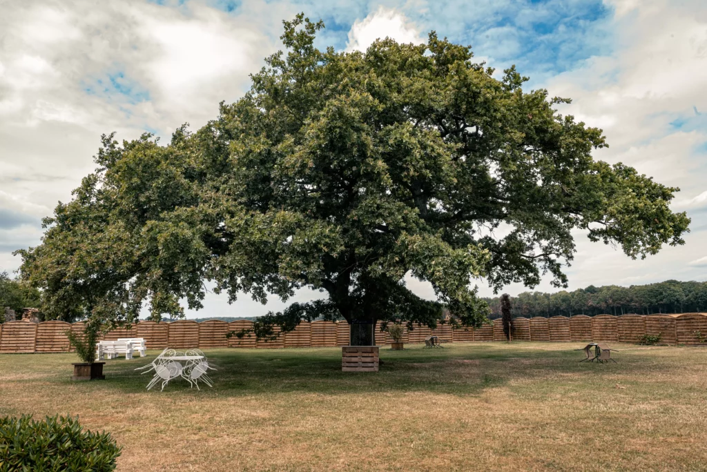 domaine de la ferme jean grogne chene